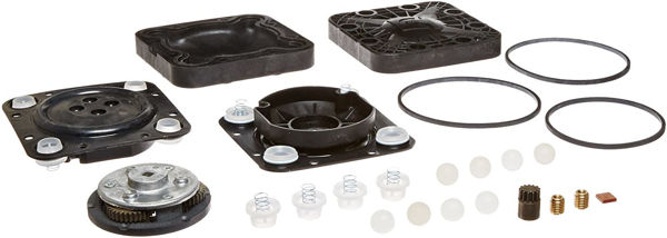 Imagen de FILL-RITE KIT DE REPARACIÓN DE BOMBAS QUÍMICAS SOTERA AG (SERIE 400)