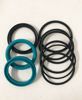 Imagen de SAMSON 735962 KIT DE RETENES DE CUERPO PM2 1:1